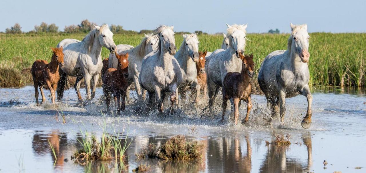 : Maison De Proche Des Arènes Hébergement de vacances *